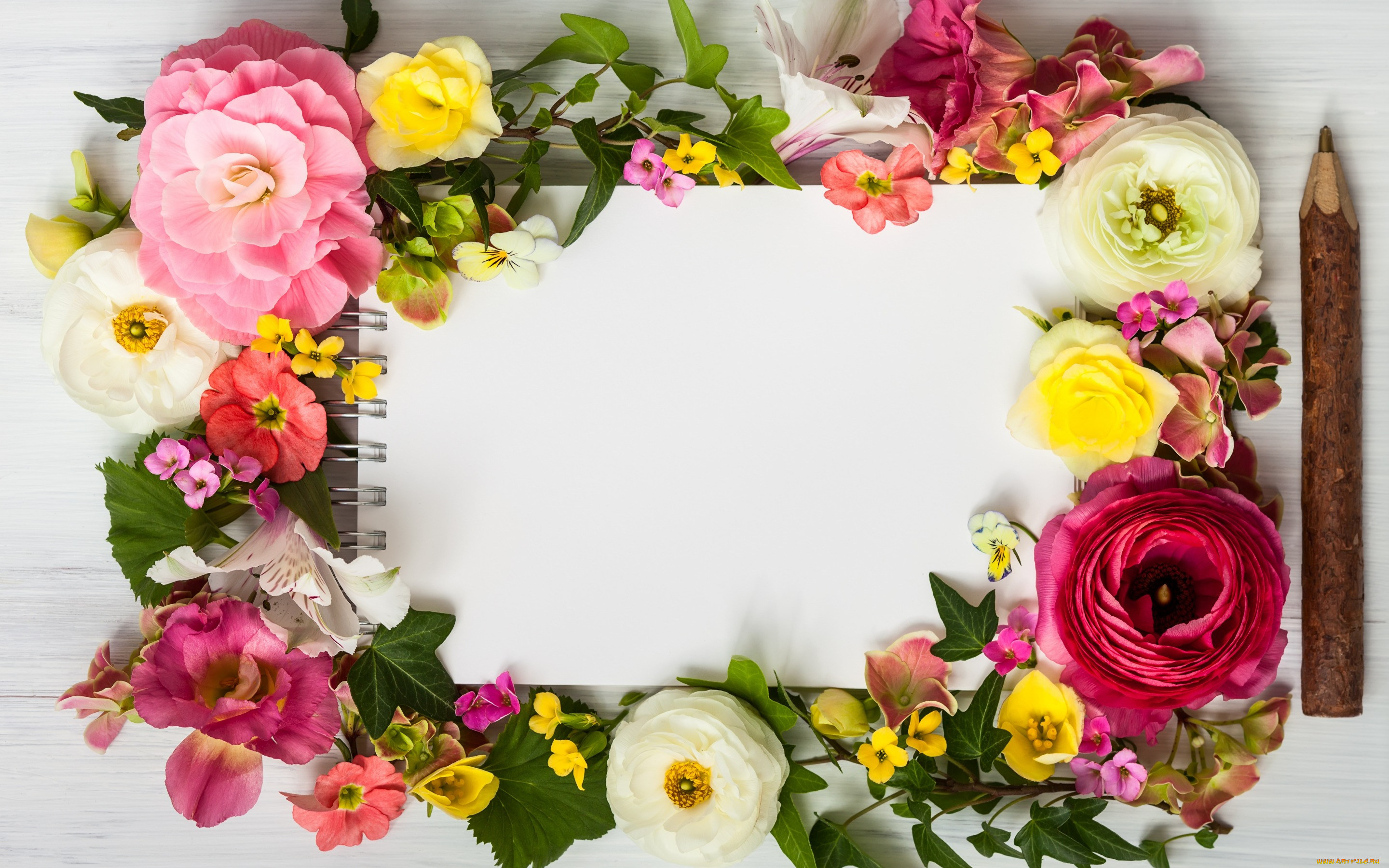 , ,  , pink, wood, , floral, frame, flowers